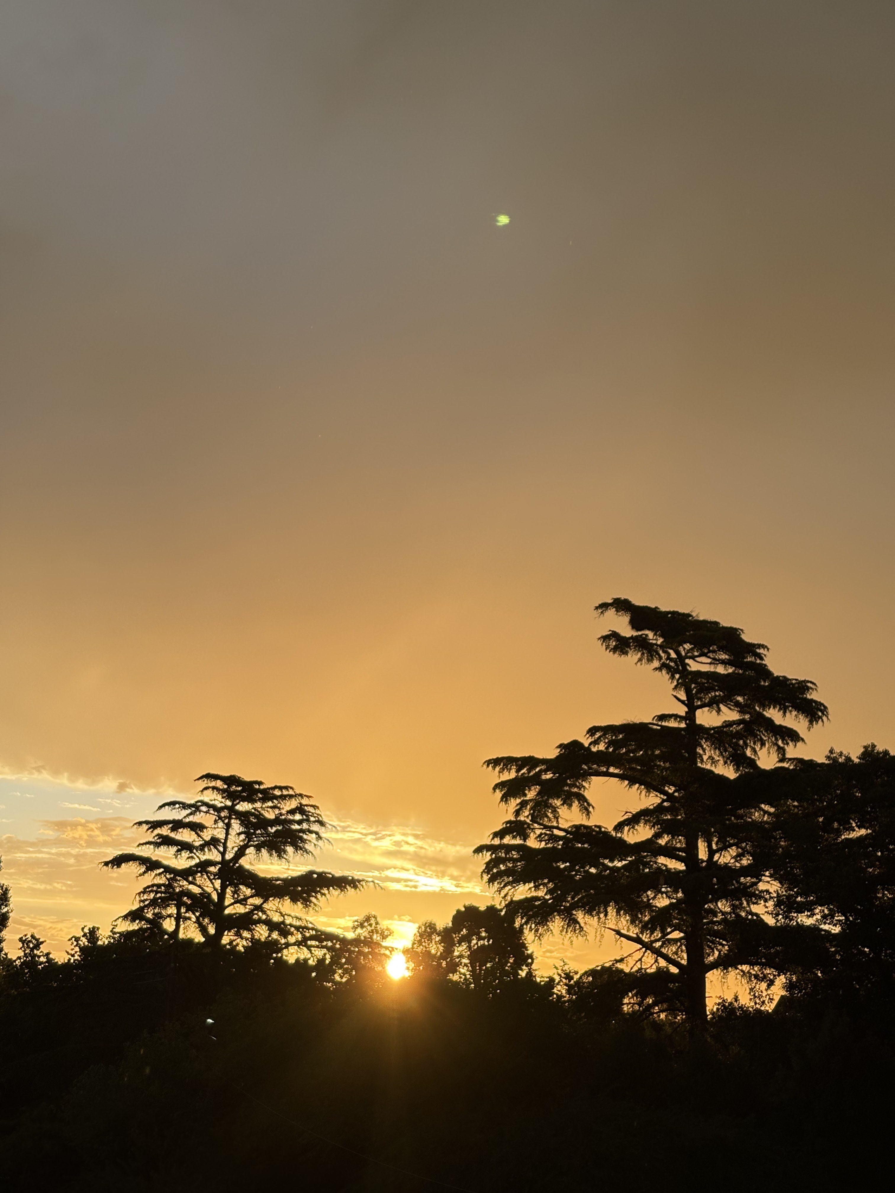 Jardín — espacio abierto