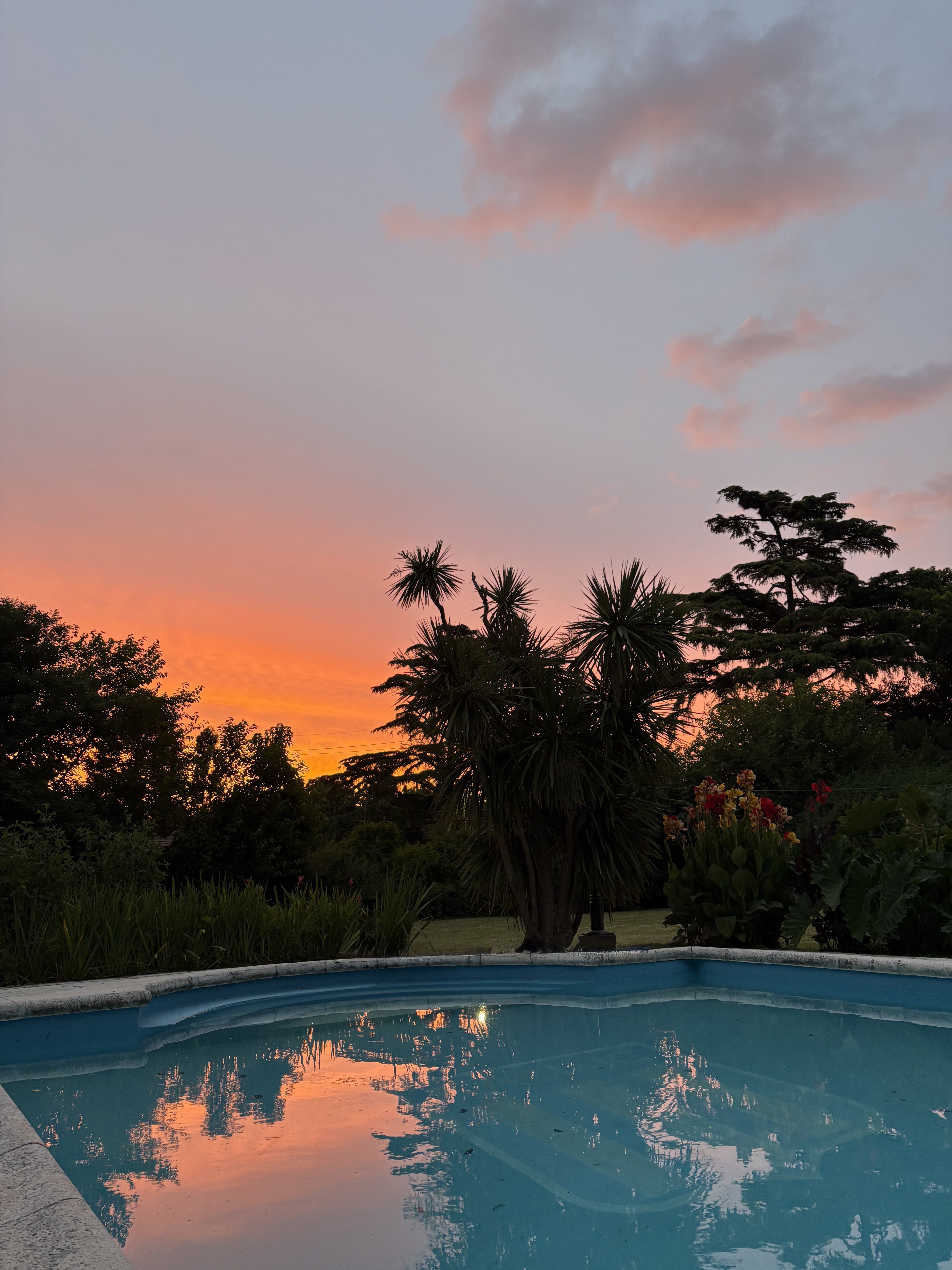 Jardín — árboles autóctonos