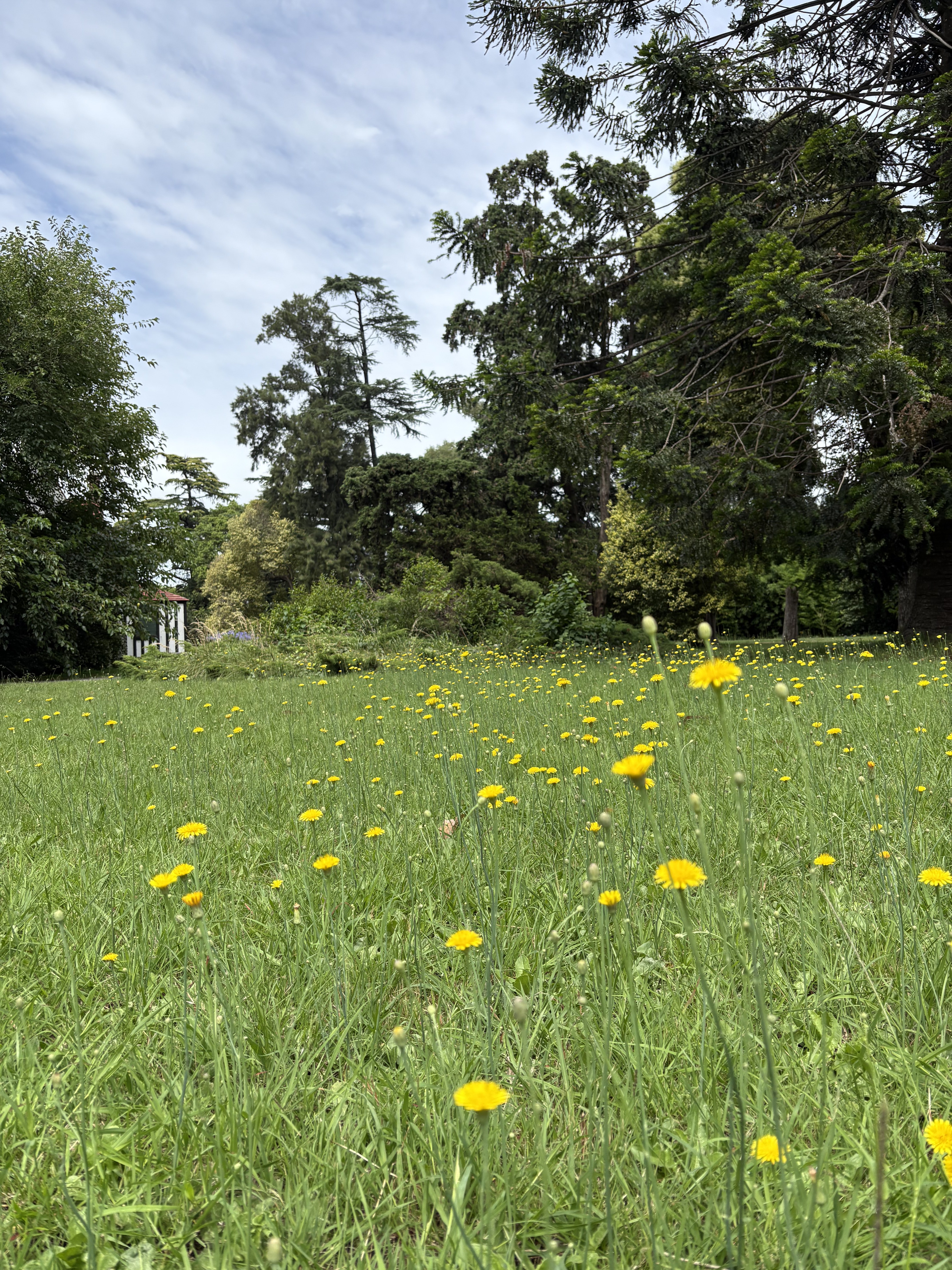 Jardín — luz natural